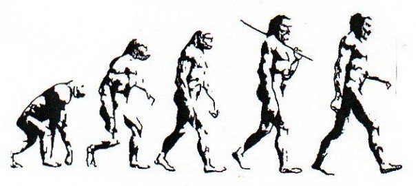 O Que é Uma Teoria Da Evolução Múltipla Escolha 7066